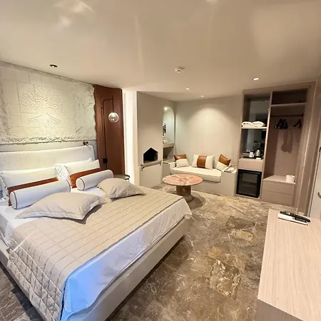 Oda ve Kahvaltı çınar House